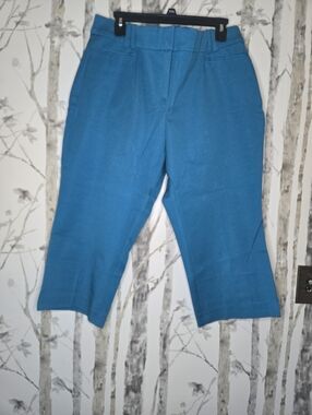 Lane Bryant The Allie Skinny Ankle Crop Aqua Pants Sexy Stretch 20 Petite